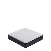 Furnitoply Modern Balance Mattress