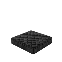 Furnitoply Luxury Rest Mattress