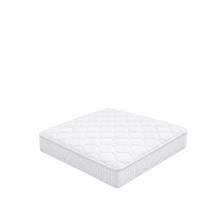 Furnitoply Classic Comfort Mattress