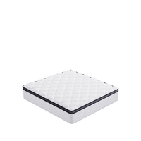 Furnitoply Cloud Comfort Mattress
